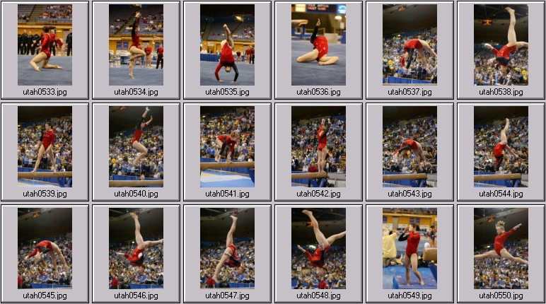 womens college gymnastics