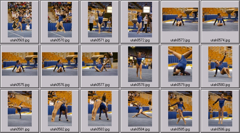 womens college gymnastics