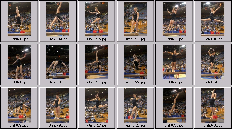 womens college gymnastics