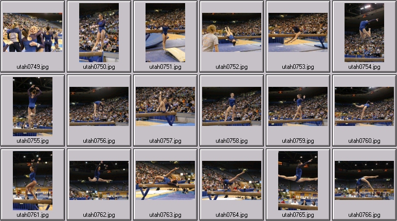 womens college gymnastics
