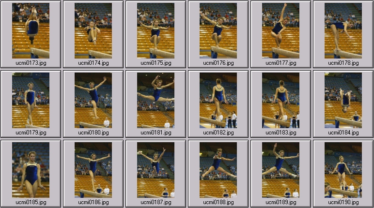womens college gymnastics