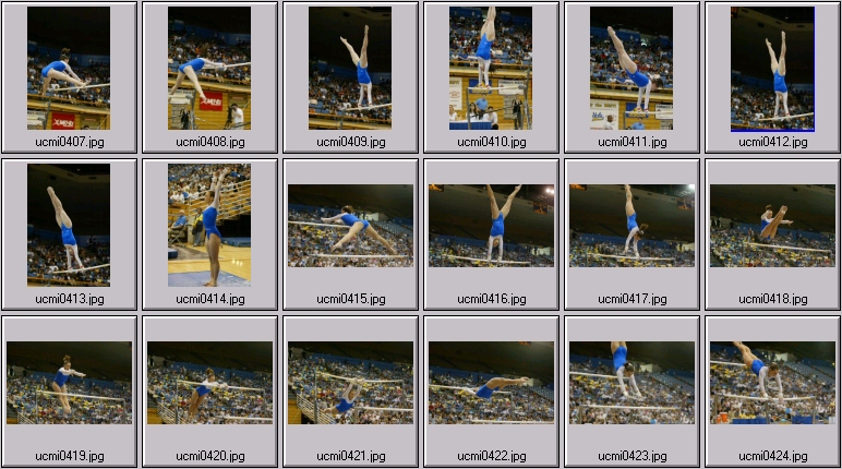 ucla gymnastics