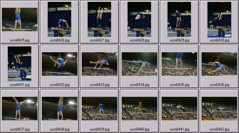 ucla gymnastics