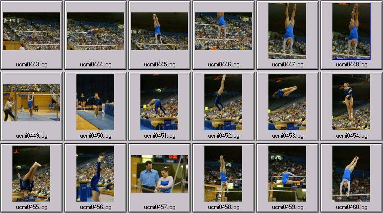 michigan gymnastics