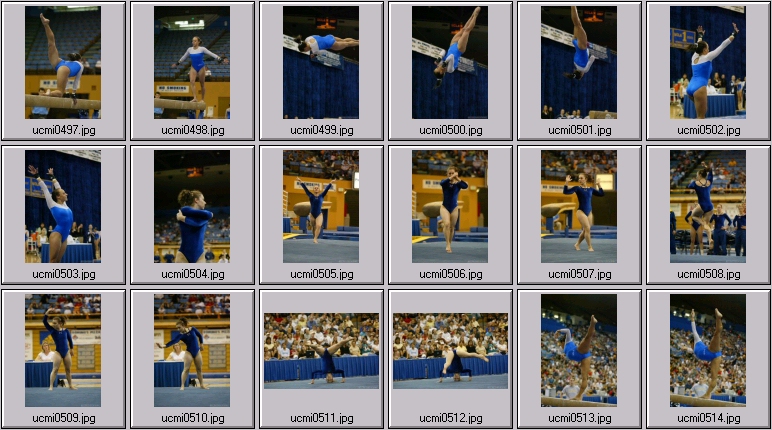 michigan gymnastics