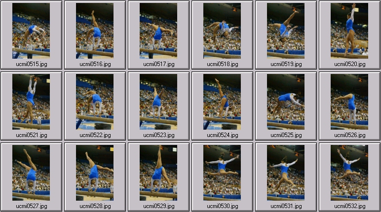 ucla gymnastics