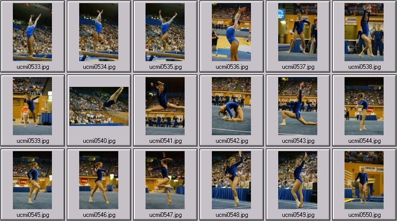 ucla gymnastics
