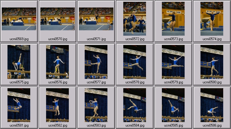 ucla gymnastics