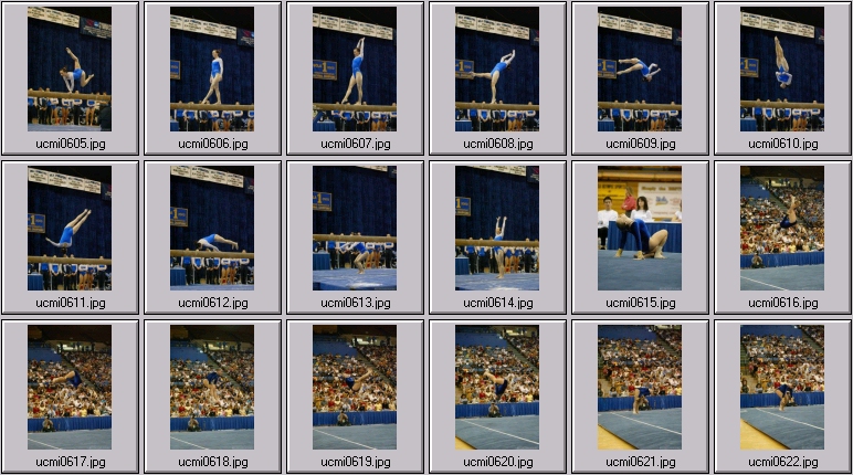 ucla gymnastics