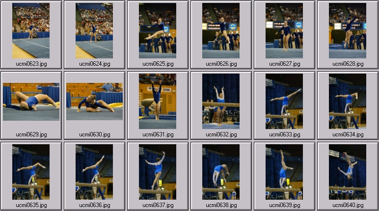 ucla gymnastics