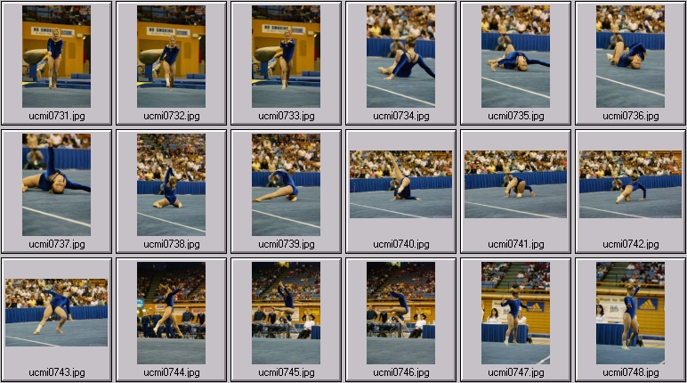 ucla gymnastics