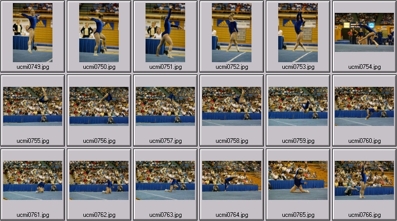 ucla gymnastics