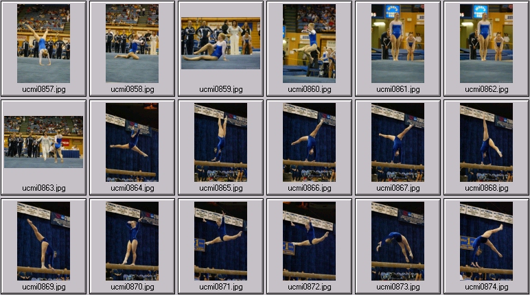 michigan gymnastics