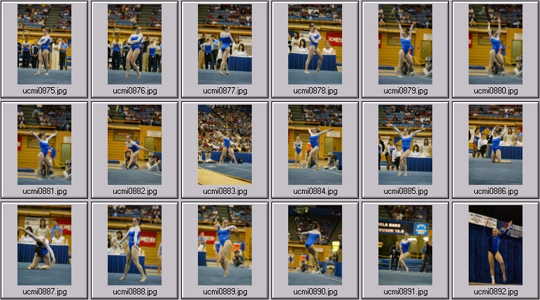 michigan gymnastics