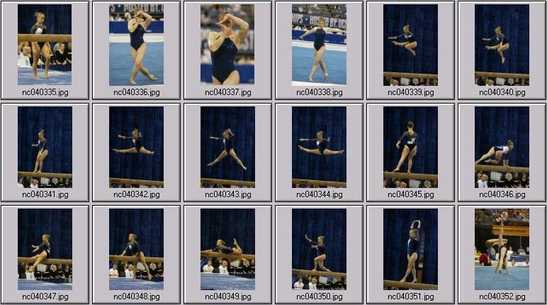 Iowa gymnastics