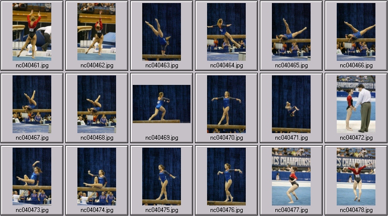 Florida - Oklahoma womens gymnastics