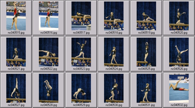 Florida - Oklahoma womens gymnastics