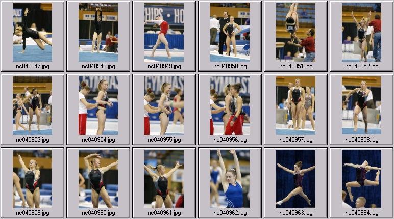 womens gymnastics