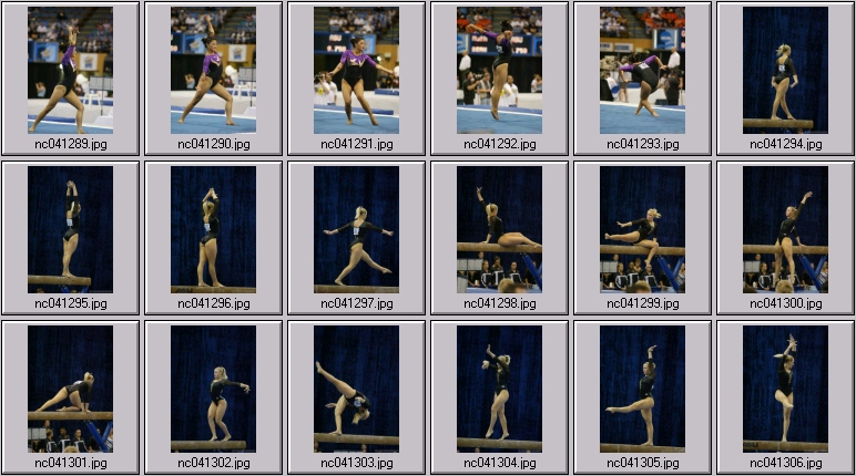 lsu gym