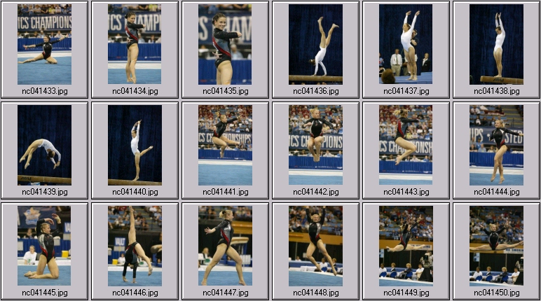 tarheel gymnastics