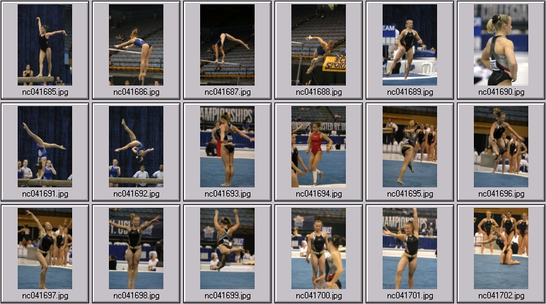 utah gymnastics