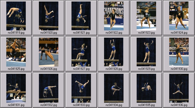 sundevil gymnastics