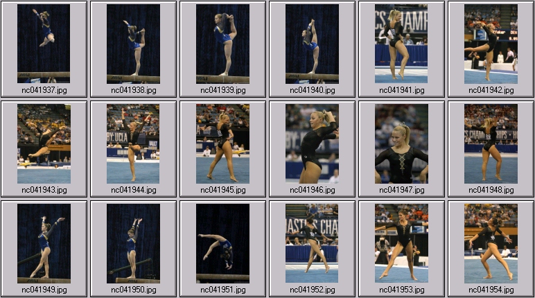 sundevil gymnastics