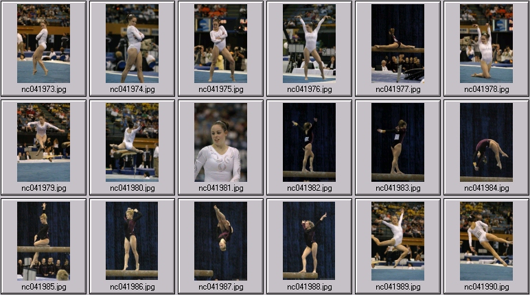 ucla gymnastics