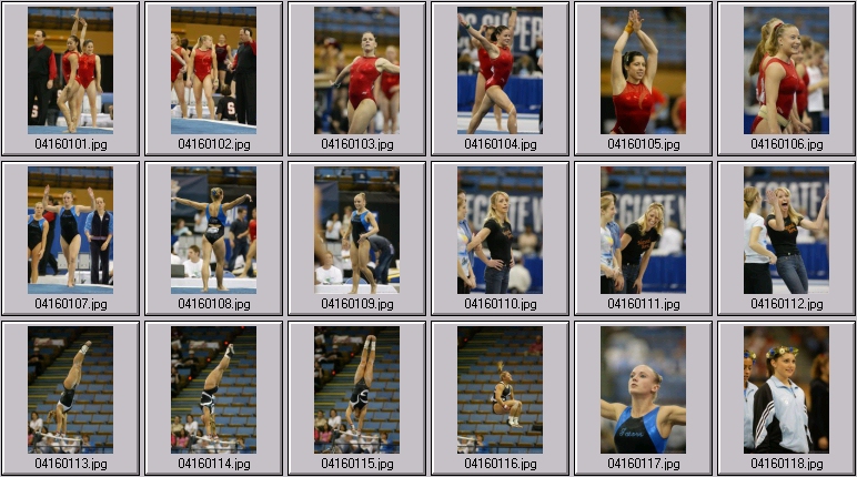 florida gymnastics