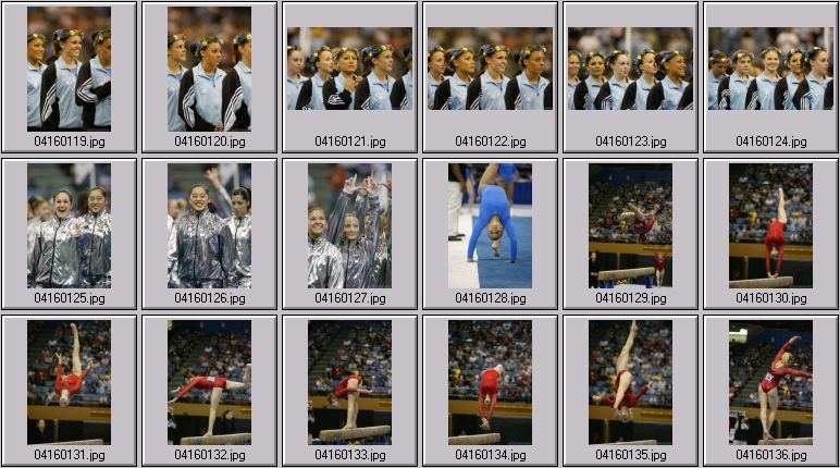 florida gymnastics