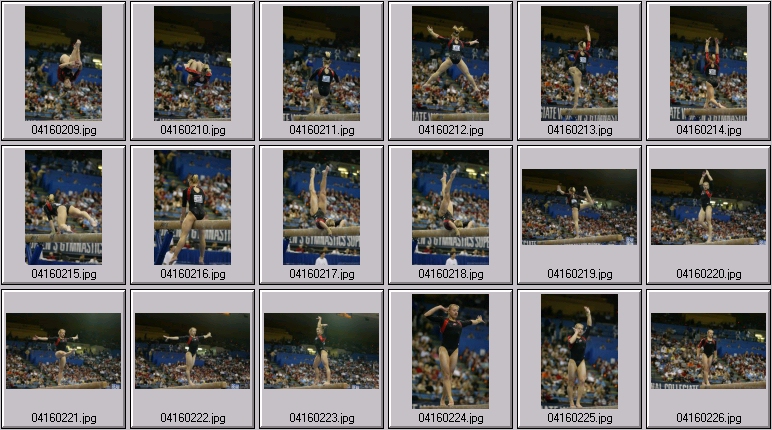 bruins gymnastics