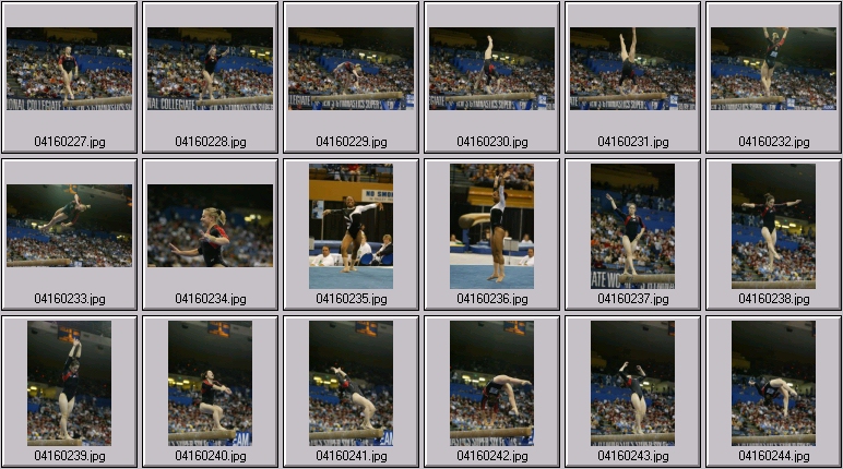 bruins gymnastics
