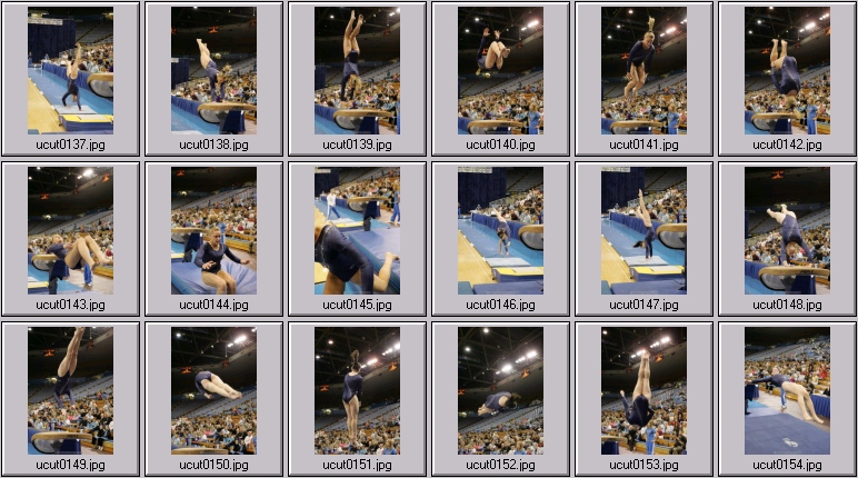 ucla women's gymnastics