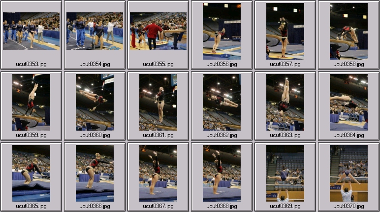 bruins women's gymnastics