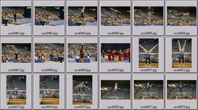 utah women's gymnastics