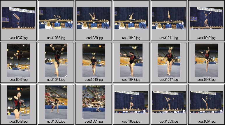 utah women's gymnastics