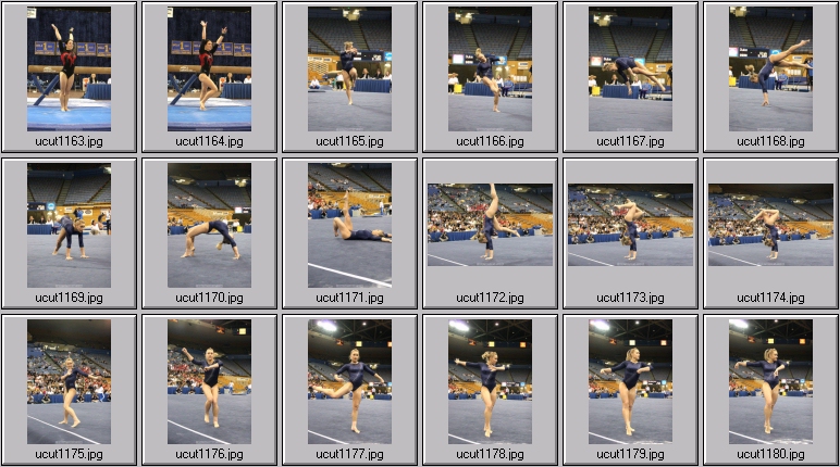 utah women's gymnastics