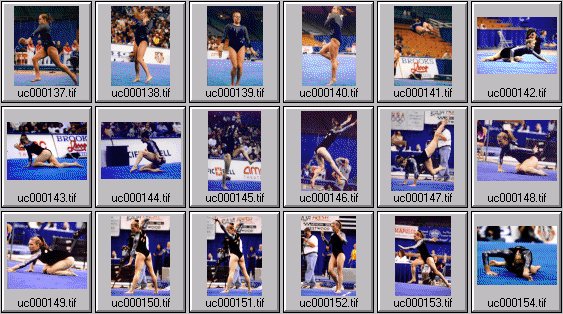 college womens gymnastics photos
