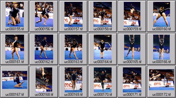 college womens gymnastics photos