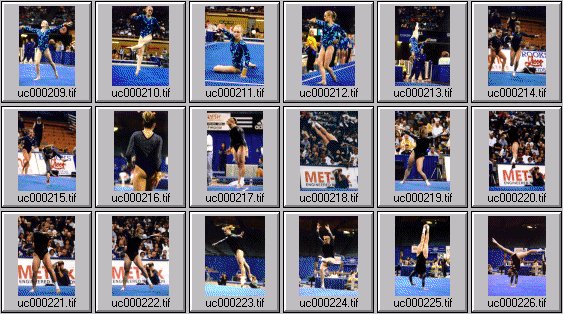 college womens gymnastics photos