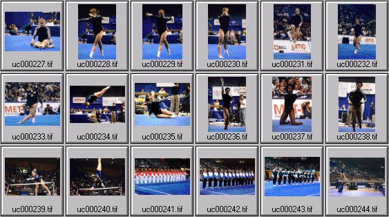 college womens gymnastics photos