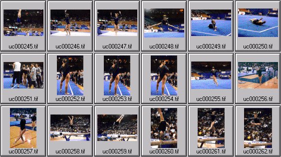 college womens gymnastics photos