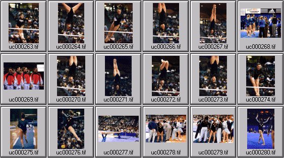 college womens gymnastics photos