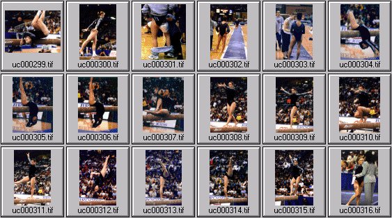 college womens gymnastics photos