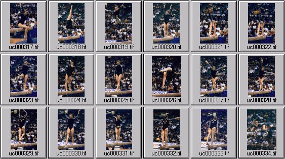 college womens gymnastics photos