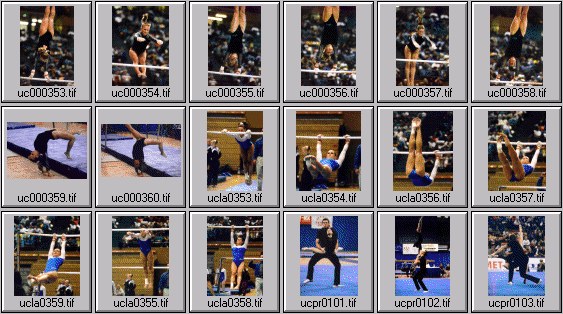 college womens gymnastics photos