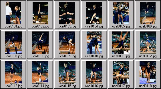 college womens gymnastics photos