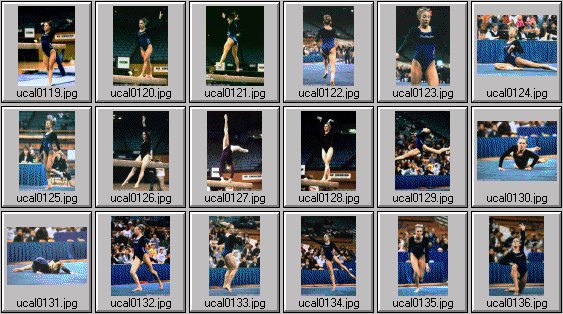 college womens gymnastics photos
