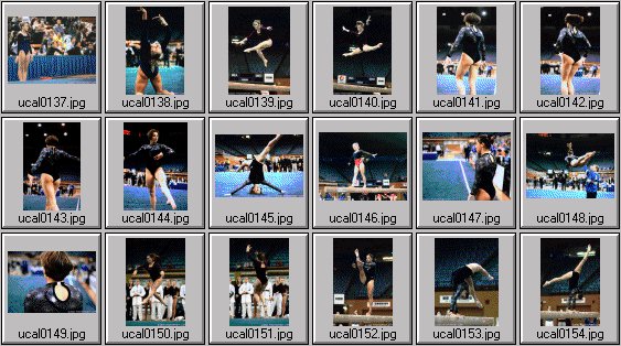 college womens gymnastics photos