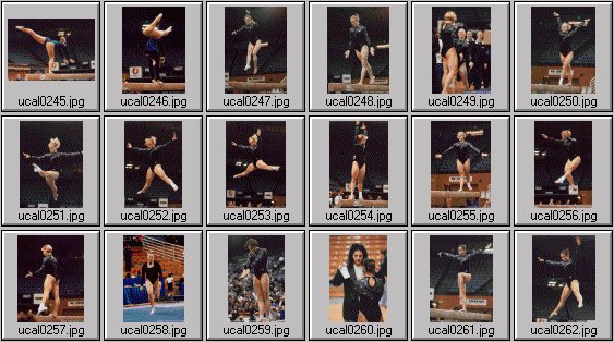 college womens gymnastics photos